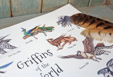 Load image into Gallery viewer, Griffins of the World Illustration A3 Print
