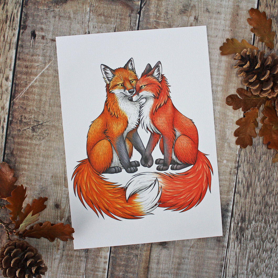 Fox and Vixen Illustration A4 Print