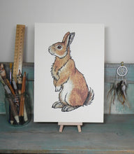 Load image into Gallery viewer, Bran the Bunny ~ Rabbit Illustration A4 Print

