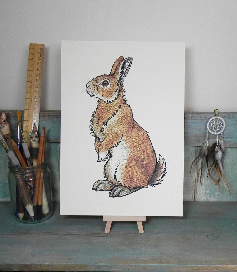 Bran the Bunny ~ Rabbit Illustration A4 Print