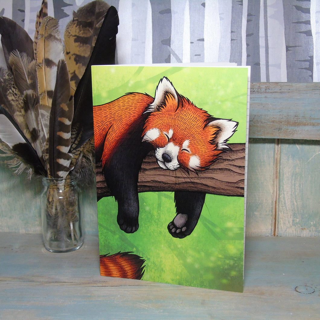 Red Panda Illustration Notebook